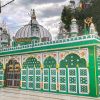 Hazrat Alauddin Sabir Pak (R.A)